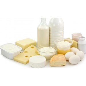 FSG 8910 - Dairy Foods and Eggs