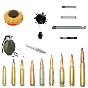 FSG 13 - Ammunition and Explosives